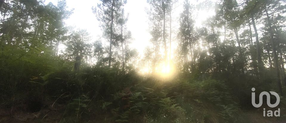 Farm land in Sapardos of 660 m²