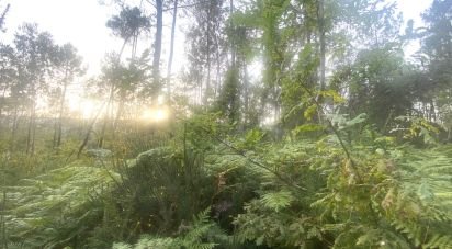 Farm land in Sapardos of 660 m²