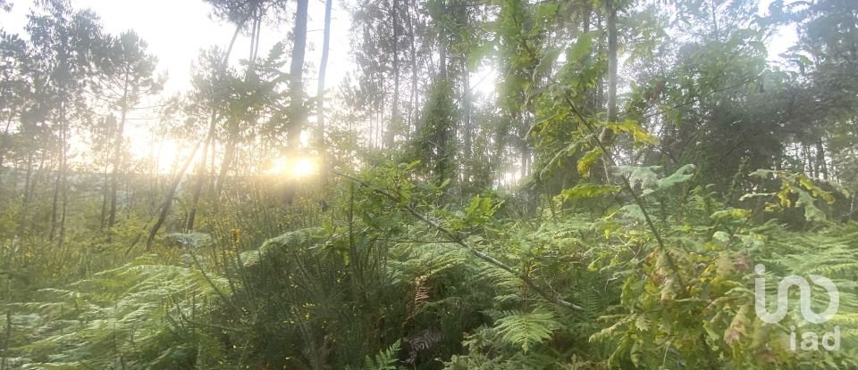 Farm land in Sapardos of 660 m²