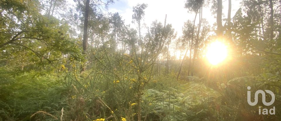 Farm land in Sapardos of 660 m²