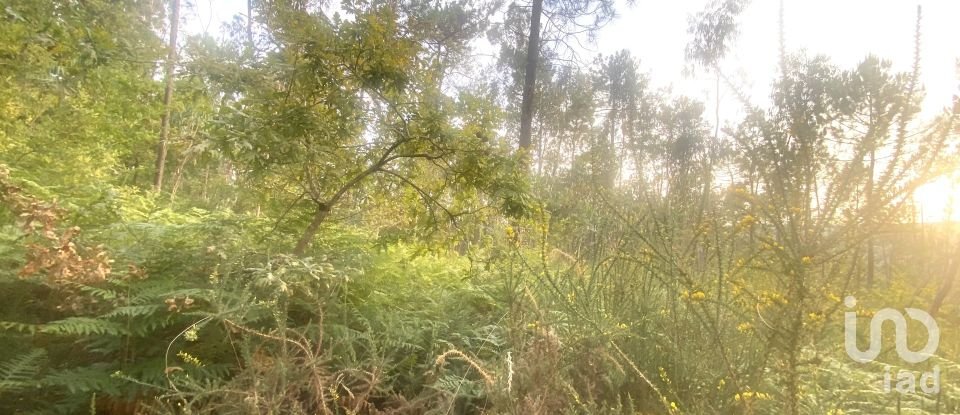 Farm land in Sapardos of 660 m²