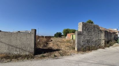 Terrain à Porto de Mós - São João Baptista e São Pedro de 7 640 m²