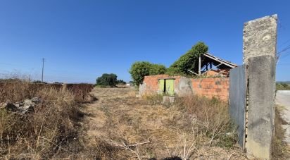 Terrain à Porto de Mós - São João Baptista e São Pedro de 7 640 m²