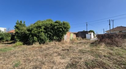 Terrain à Porto de Mós - São João Baptista e São Pedro de 7 640 m²