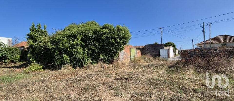 Terreno em Porto de Mós - São João Baptista e São Pedro de 7 640 m²