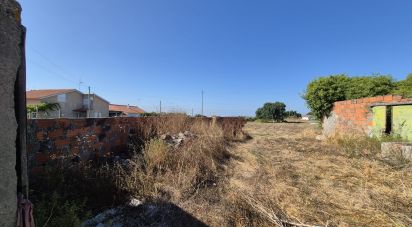 Terrain à Porto de Mós - São João Baptista e São Pedro de 7 640 m²