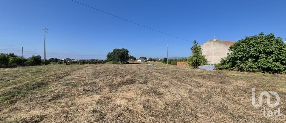 Terreno em Porto de Mós - São João Baptista e São Pedro de 7 640 m²