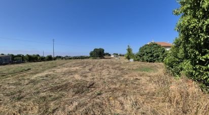 Terrain à Porto de Mós - São João Baptista e São Pedro de 7 640 m²