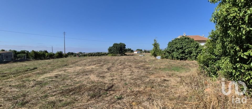Terreno em Porto de Mós - São João Baptista e São Pedro de 7 640 m²