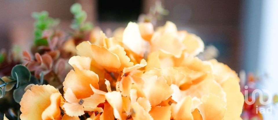 Moradia T4 em Charneca De Caparica E Sobreda de 170 m²