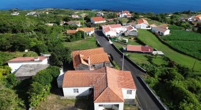 Boutique/Local commercial à Ribeiras de 159 m²