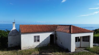 Boutique/Local commercial à Ribeiras de 159 m²