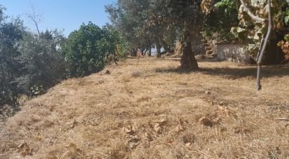 Demeure T6 à Cantar-Galo E Vila Do Carvalho de 160 m²