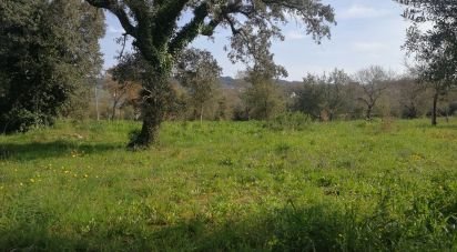 Terrain à Igreja Nova do Sobral de 7 665 m²