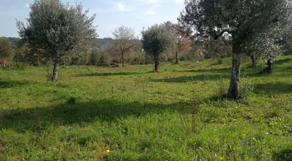 Terrain à Igreja Nova do Sobral de 7 665 m²