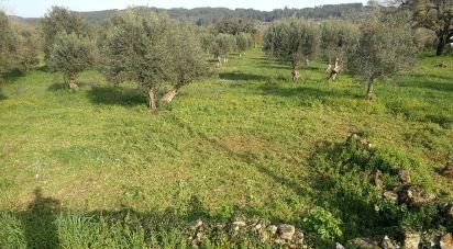 Terrain à Igreja Nova do Sobral de 7 665 m²