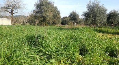 Terrain à Igreja Nova do Sobral de 7 665 m²