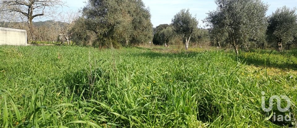 Terreno em Igreja Nova do Sobral de 7 665 m²