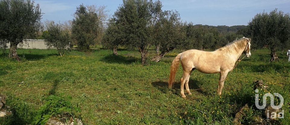 Terreno em Igreja Nova do Sobral de 7 665 m²