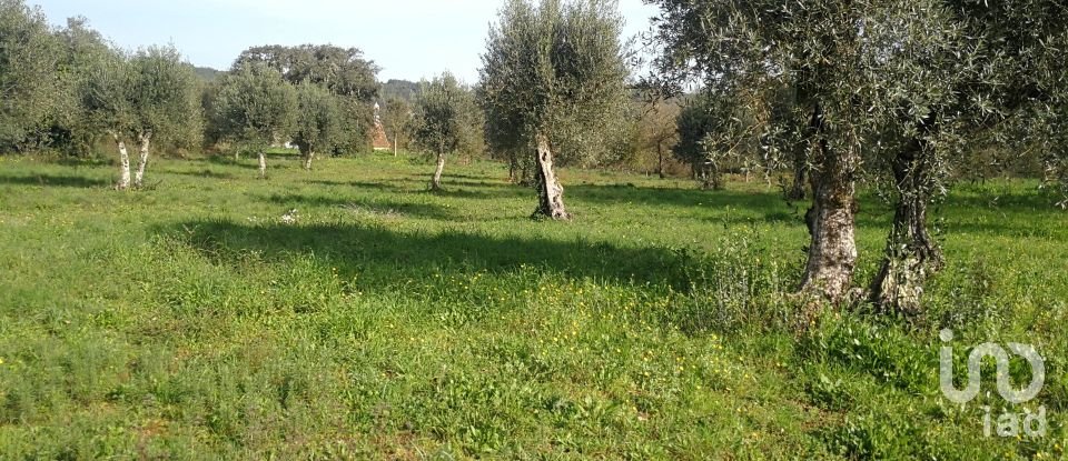 Terreno em Igreja Nova do Sobral de 7 665 m²