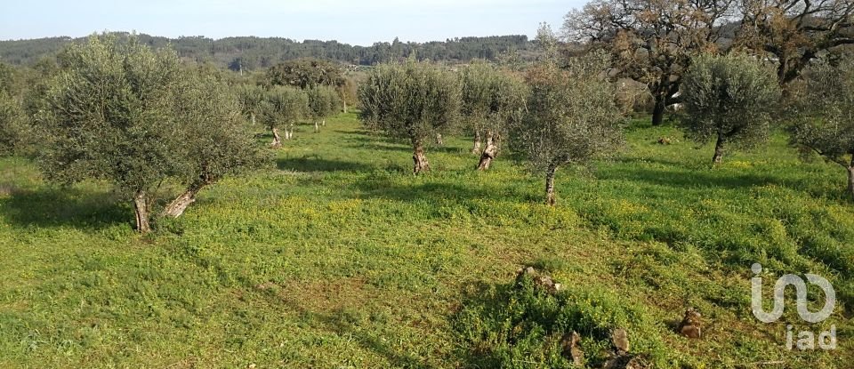 Terreno em Igreja Nova do Sobral de 7 665 m²