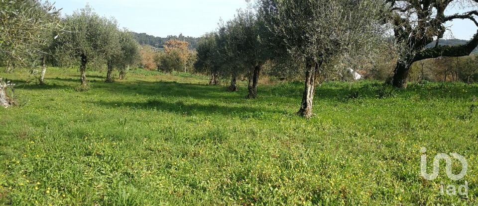 Terreno em Igreja Nova do Sobral de 7 665 m²