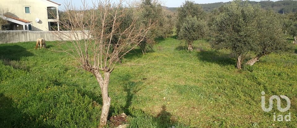 Terreno em Igreja Nova do Sobral de 7 665 m²