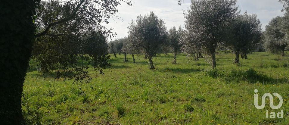 Terreno em Igreja Nova do Sobral de 7 665 m²