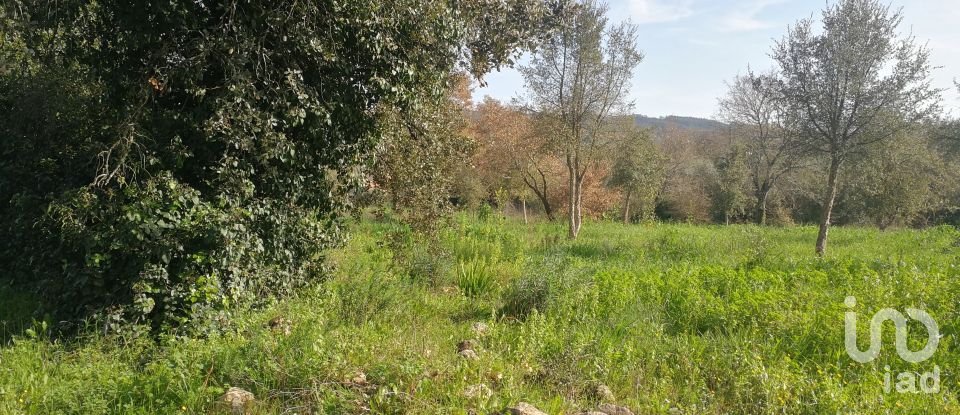 Terreno em Igreja Nova do Sobral de 7 665 m²