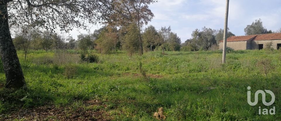 Terreno em Igreja Nova do Sobral de 7 665 m²