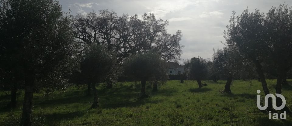 Terreno em Igreja Nova do Sobral de 7 665 m²