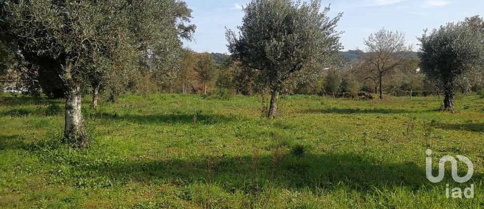 Terreno em Igreja Nova do Sobral de 7 665 m²