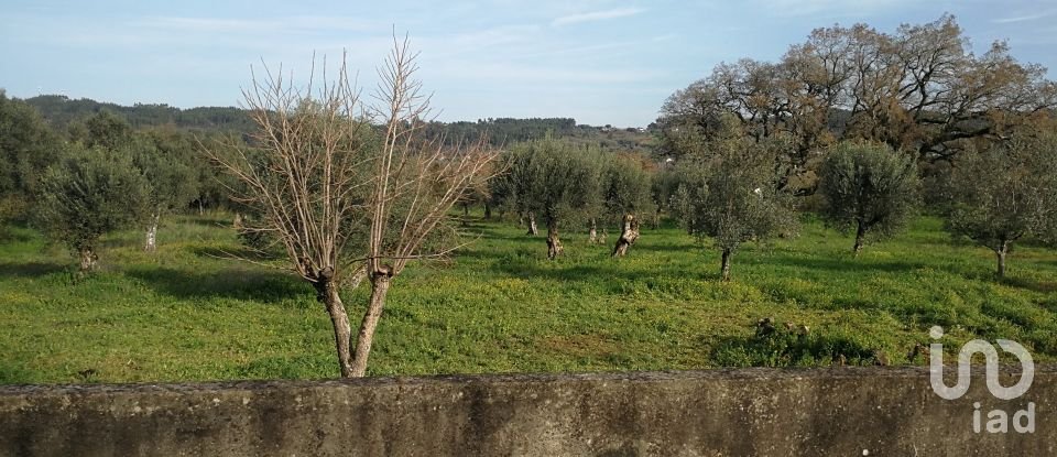 Terreno em Igreja Nova do Sobral de 7 665 m²