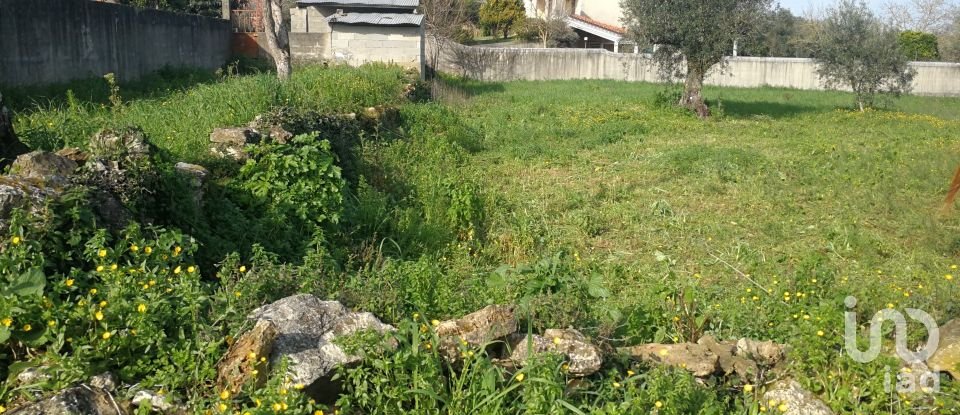 Terreno em Igreja Nova do Sobral de 7 665 m²