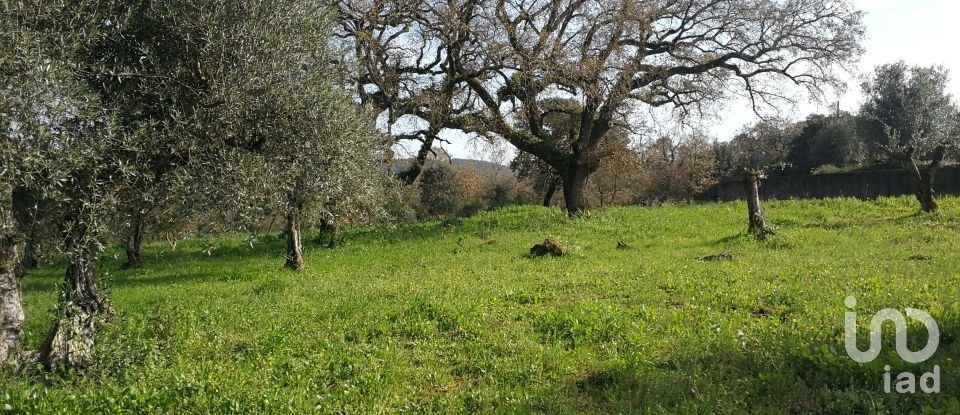 Terreno em Igreja Nova do Sobral de 7 665 m²