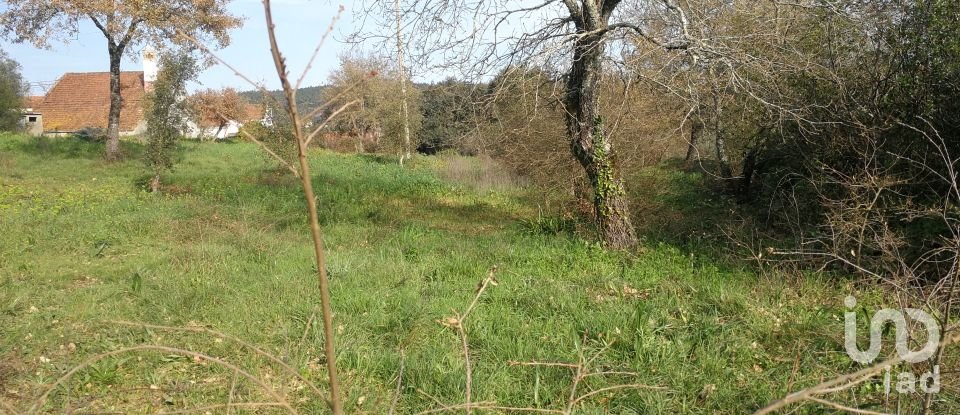 Terreno em Igreja Nova do Sobral de 7 665 m²