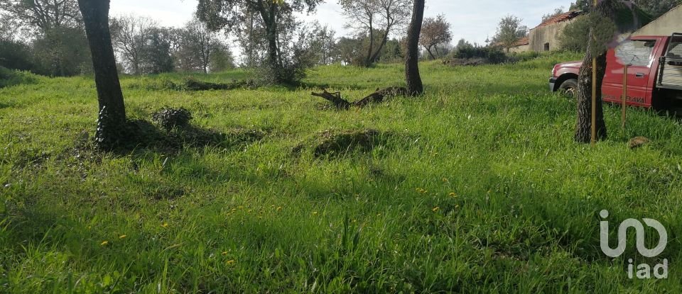 Terreno em Igreja Nova do Sobral de 7 665 m²