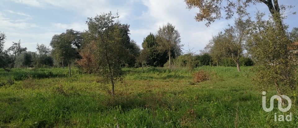 Terreno em Igreja Nova do Sobral de 7 665 m²