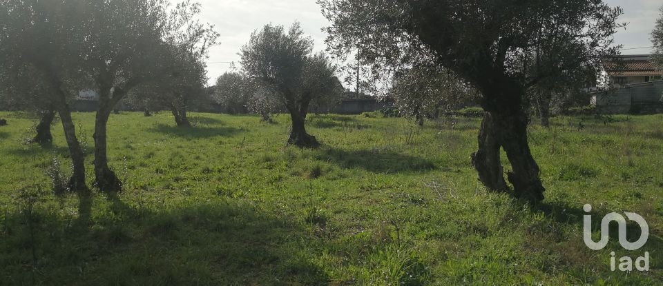 Terreno em Igreja Nova do Sobral de 7 665 m²