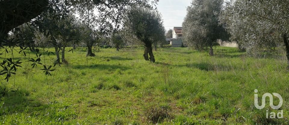 Terreno em Igreja Nova do Sobral de 7 665 m²