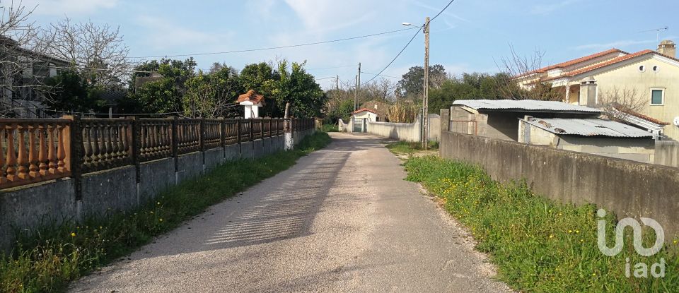 Terreno em Igreja Nova do Sobral de 7 665 m²