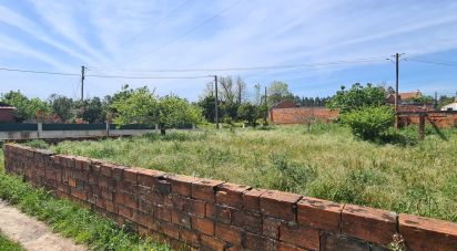 Land in Santo André de Vagos of 765 m²