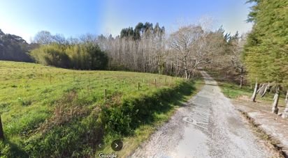 Land in Palhaça of 440 m²