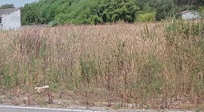 Land in Palhaça of 1,380 m²
