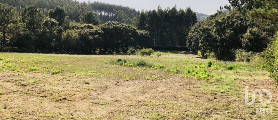 Moradia T3 em Carvalhal Benfeito de 271 m²