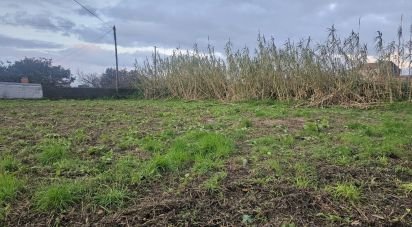 Land in Antas of 523 m²