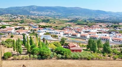 House T4 in Lamas e Cercal of 550 m²