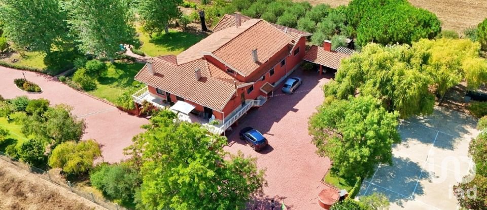 House T4 in Lamas e Cercal of 550 m²