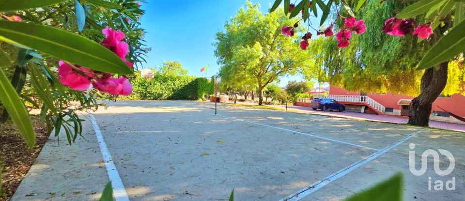 House T4 in Lamas e Cercal of 550 m²