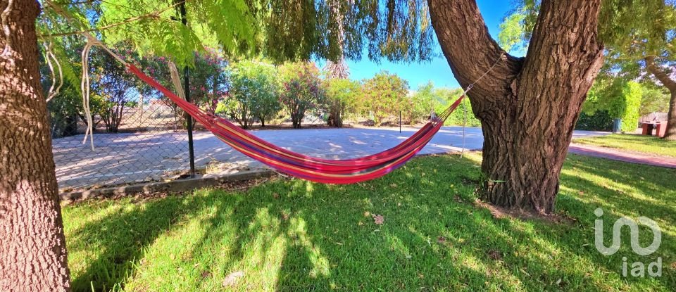 House T4 in Lamas e Cercal of 550 m²